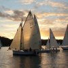 February 2021 » Classics at Avalon Sailing Club